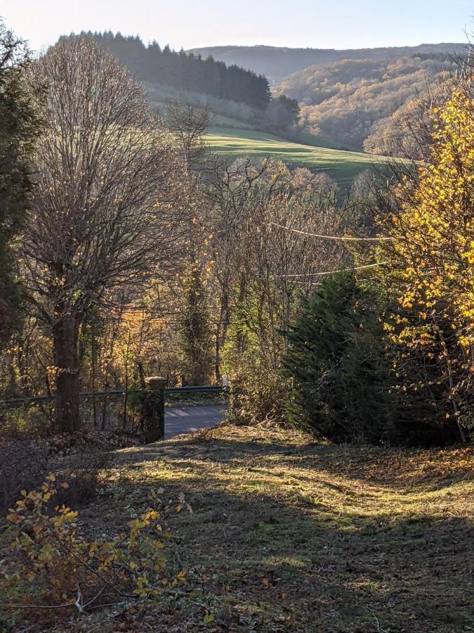 Strawberry Hill Bed & Breakfast Chissey-en-Morvan Exterior photo